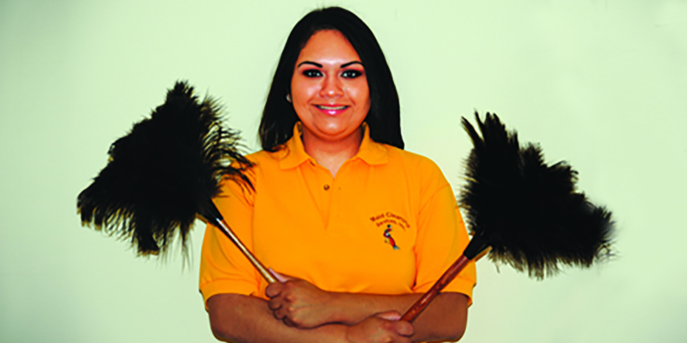Northern Virginia Maid Cleaning Services 12 Loudoun County VA
